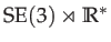 $ \mathrm{SE}(3)\rtimes\mathbb{R}^{*}$