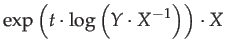 $\displaystyle \exp\left(t\cdot\log\left(Y\cdot X^{-1}\right)\right)\cdot X$