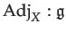 $\displaystyle \mathrm{Adj}_{X}:\mathfrak{g}$
