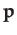 $\displaystyle \mathbf{p}$